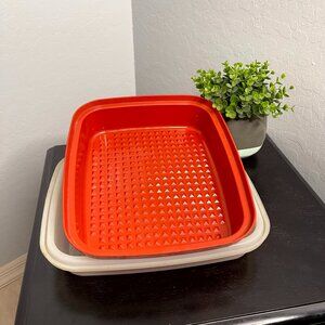 *SOLD* Vintage Tupperware Paprika Marinade Container with Lid 10.5 x 12.5 x 2.5